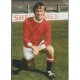  Signed picture of Pat Crerand the Manchester United footballer.